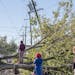 A downed tree after Hurricane Zeta classified as a Category 2 hit New Orleans, La., on Oct. 29, 2020. Tropical Storm Eta became the 28th named storm o