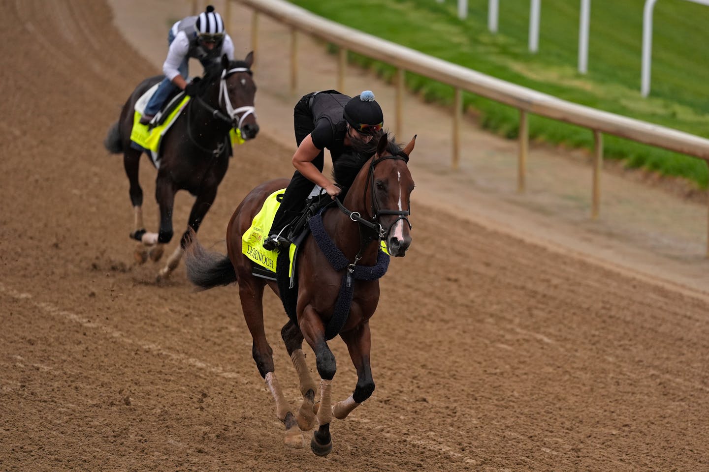 Kentucky Derby Handicapper picks the winner, analyzes the race