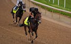 Kentucky Derby hopefuls Dornoch, front, and Endlessly work out at Churchill Downs earlier this week in advance of Saturday's race.