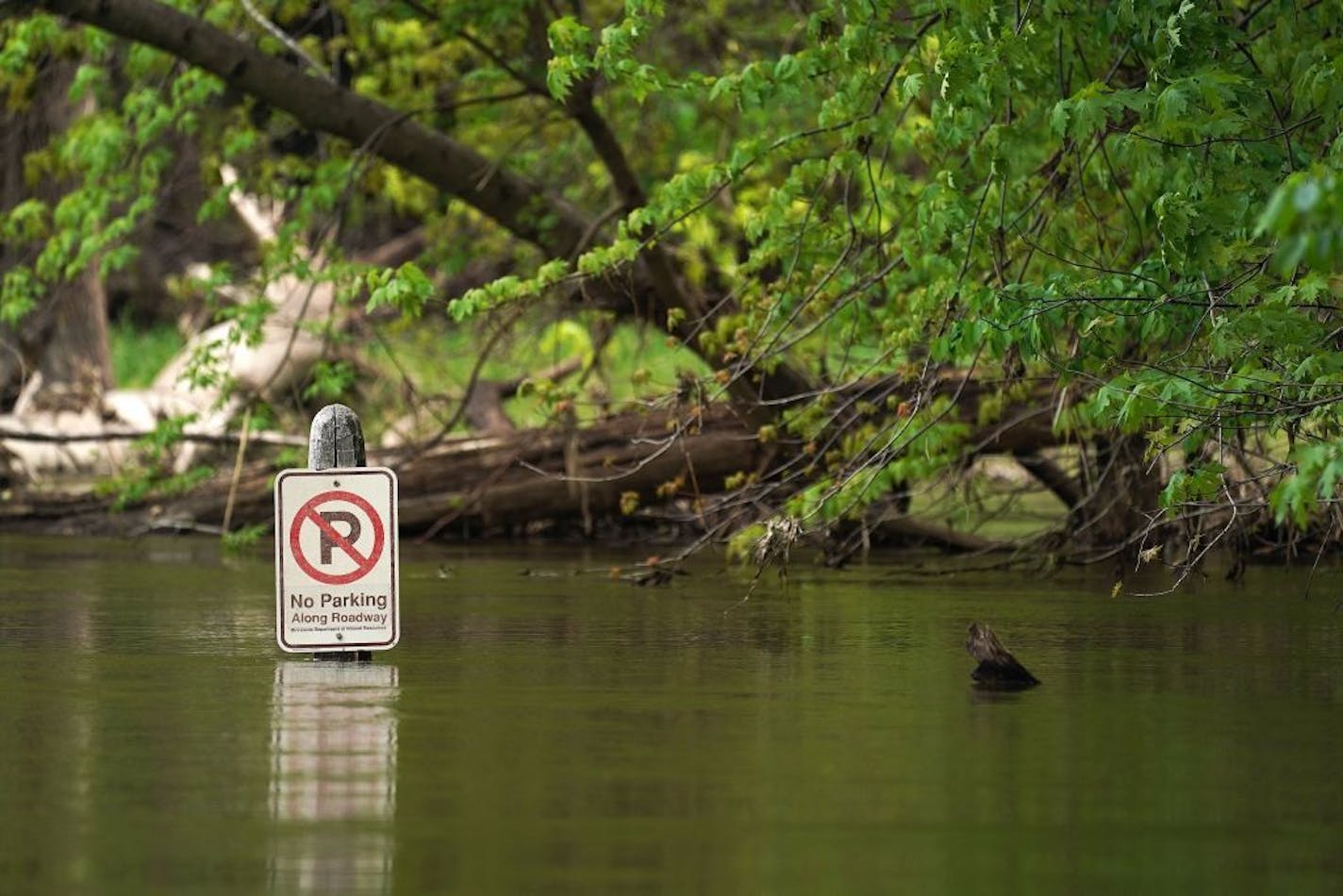 Water submerged the sign pole for a no parking sign on the flooded roadway to Picnic Island at Fort Snelling State Park in May.