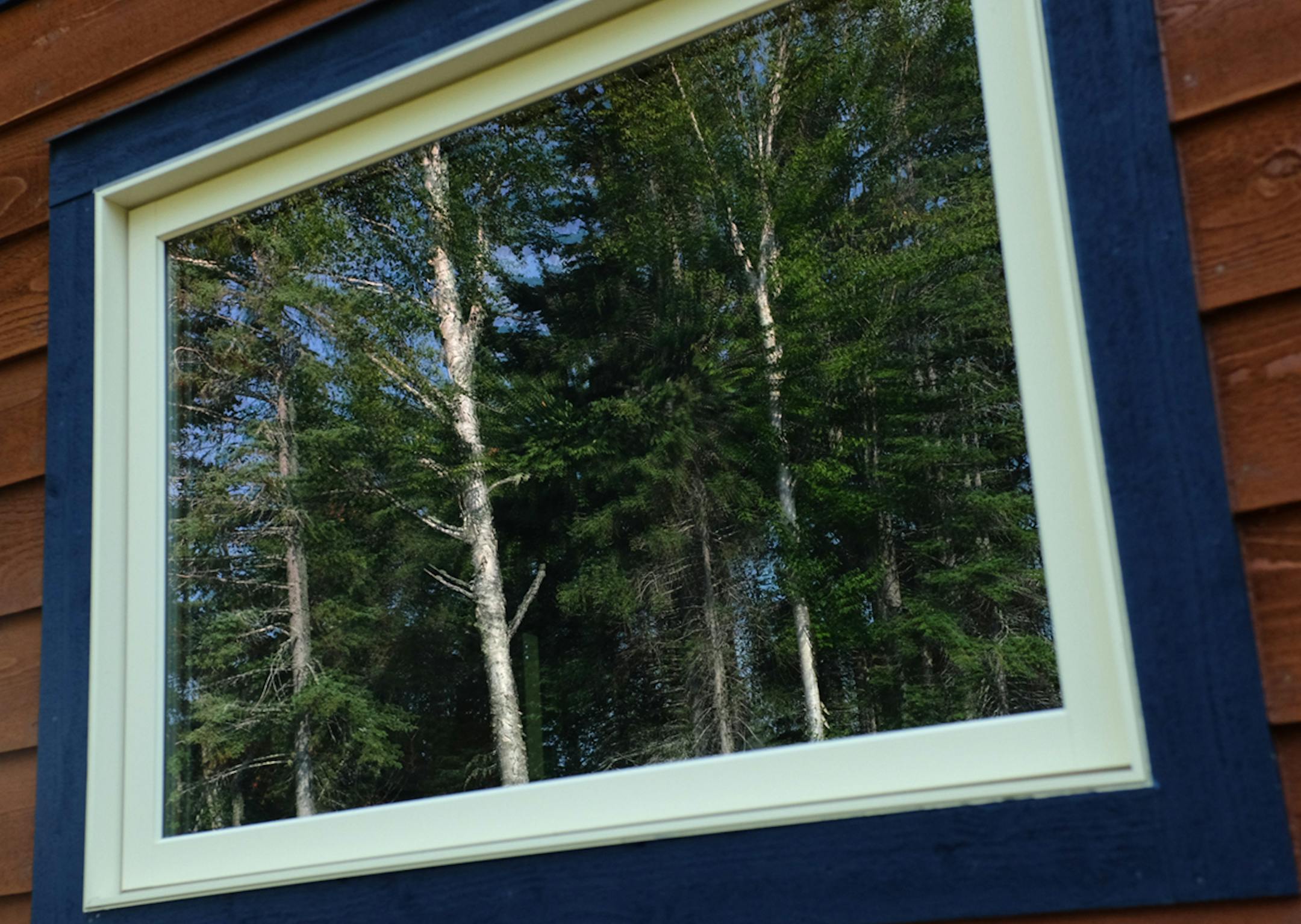 cabin window hit by bird photo by Jim Williams