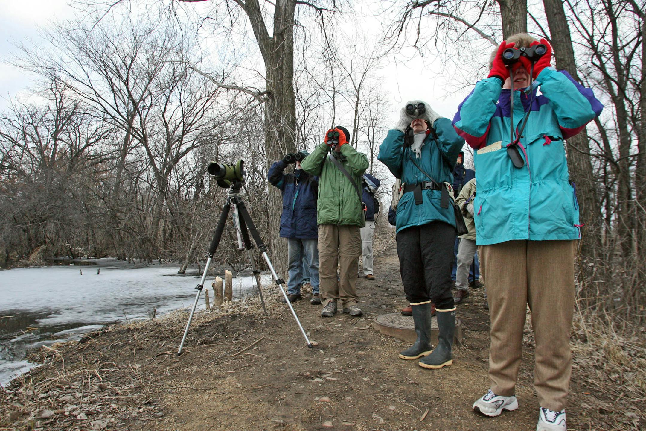 Nature enthusiasts looked for signs of wildlife as they walked the trails in the Minnesota Valley National Wildlife Refuge. Home to painted turtles, fox, coyotes and a plethora of other wildlife, it's just one of four U.S. refuges in urban areas.