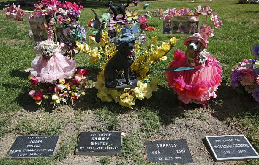 This photo taken on May 12, 2014, shows beloved family pets memorialized with statues at the Los Angeles Pet Cemetery in Calabasas, Calif. Saying goodbye to a beloved dog or cat is hard. Despite many options, an estimated 70 percent of owners will leave the body with their veterinarian to dispose of.
