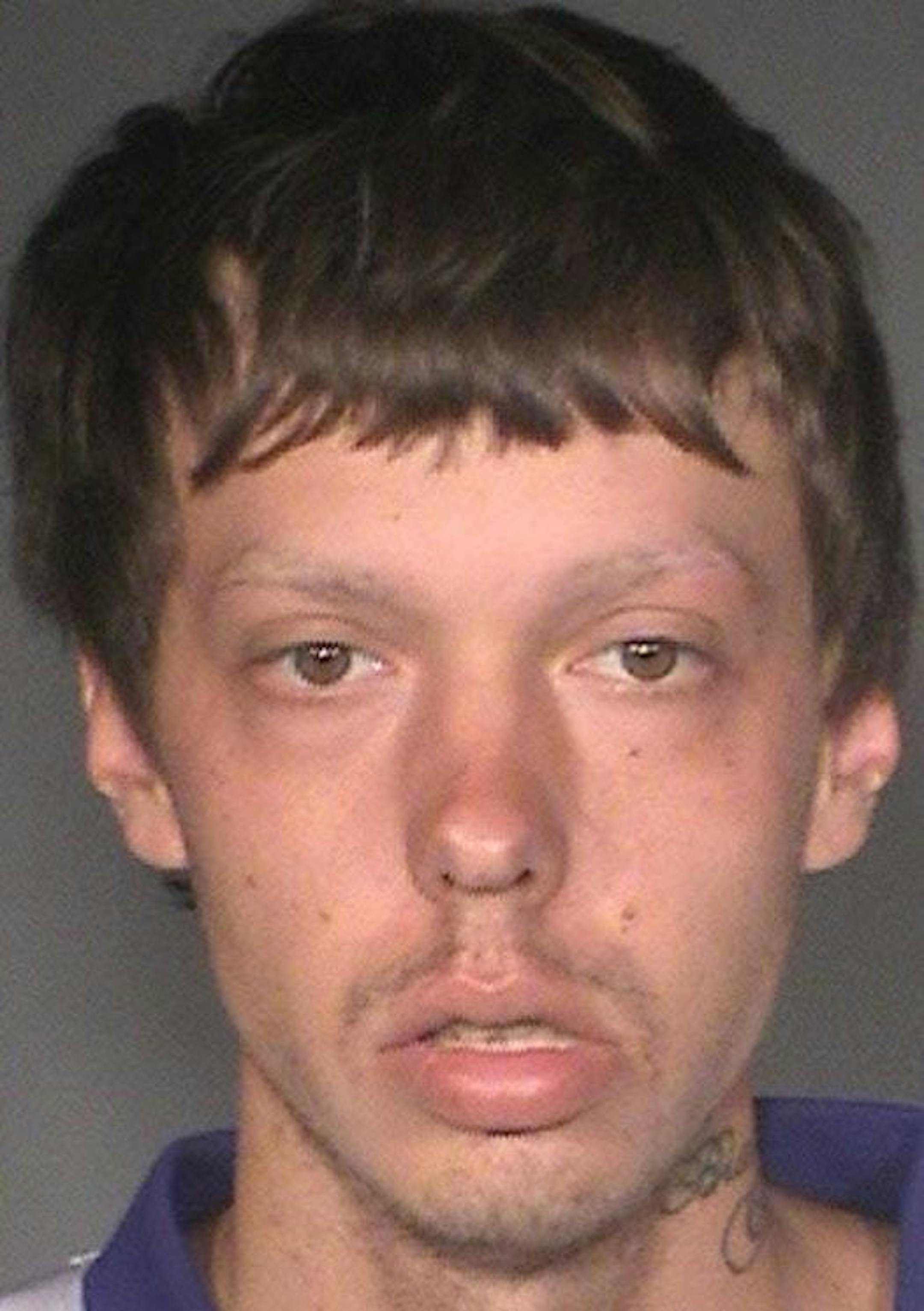 William James Scheel