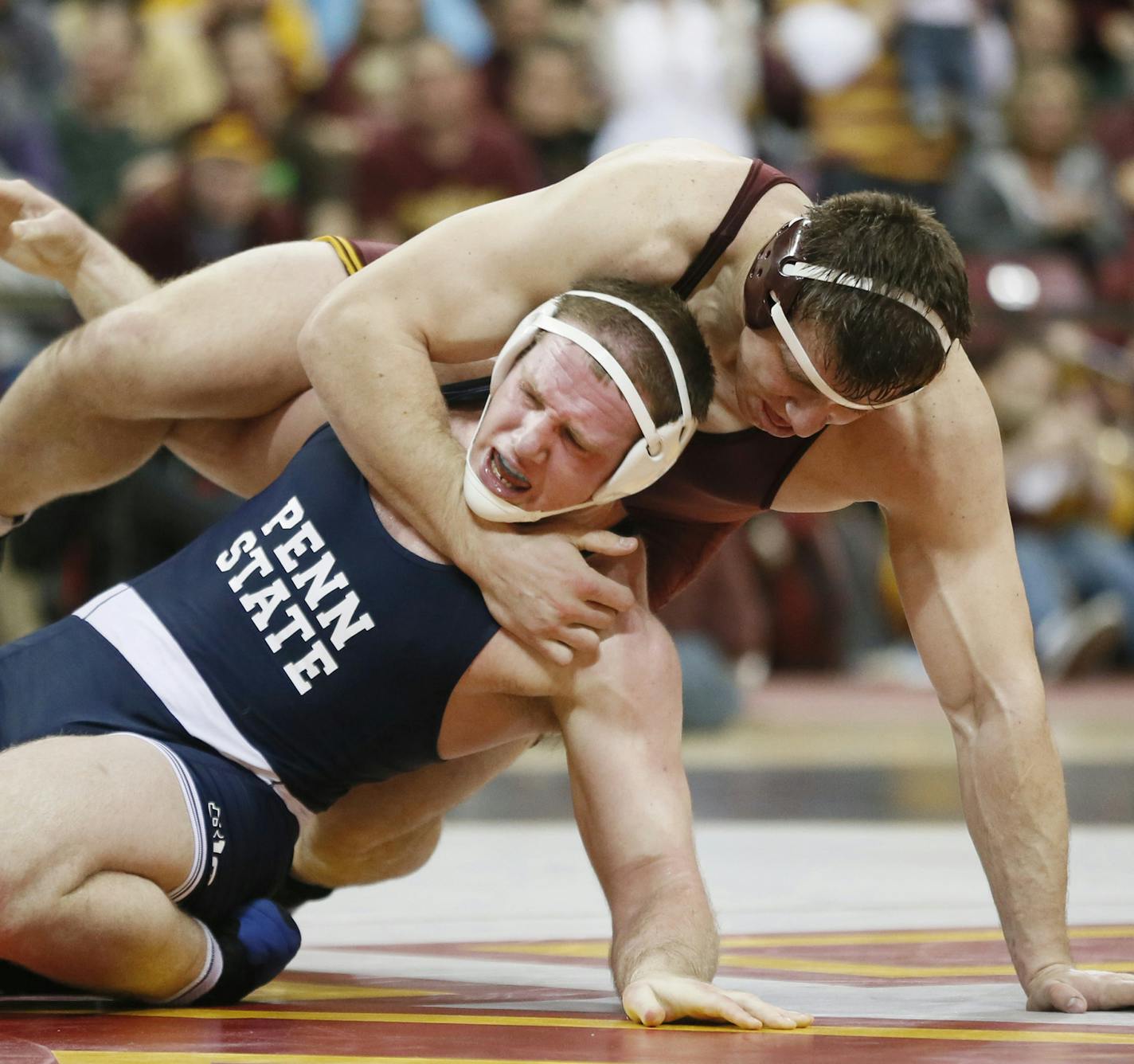 Minnesota's heavyweight Tony Nelson scored 2 points on Penn State's Jon Gingrich during Big Ten wrestling action between Minnesota and Penn State at the Sports Pavilion Sunday Feb9 , 2014 Minneapolis, MN. Nelson won the match, helping Minnesota to a 18-17 win over Penn State. ] JERRY HOLT &#x201a;&#xc4;&#xa2; jerry.holt@startribune.com