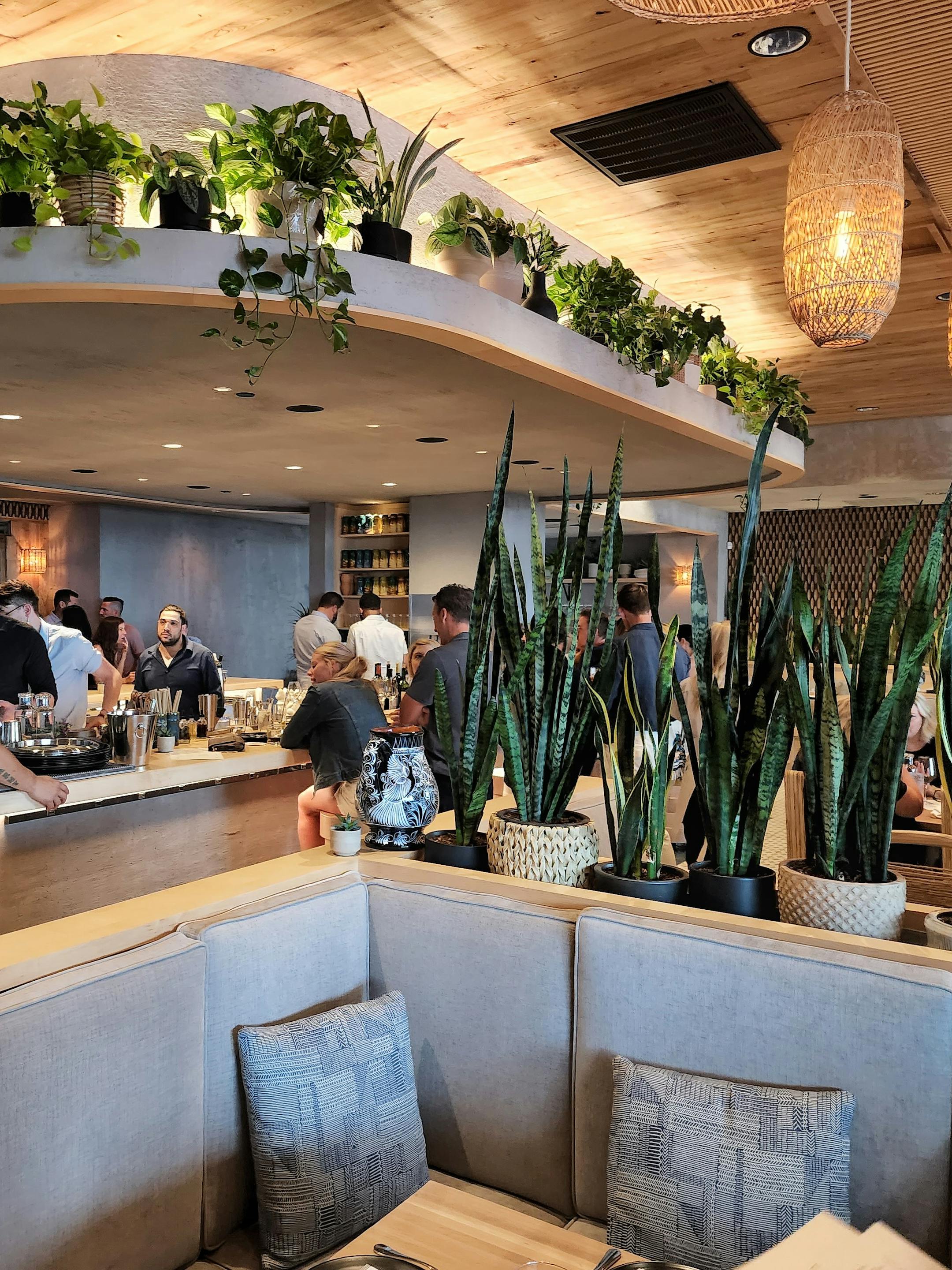 The interior of the new Wayzata restaurant Macanda.