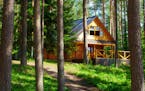 Lodge in the woods