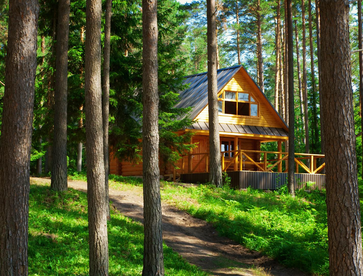 Lodge in the woods