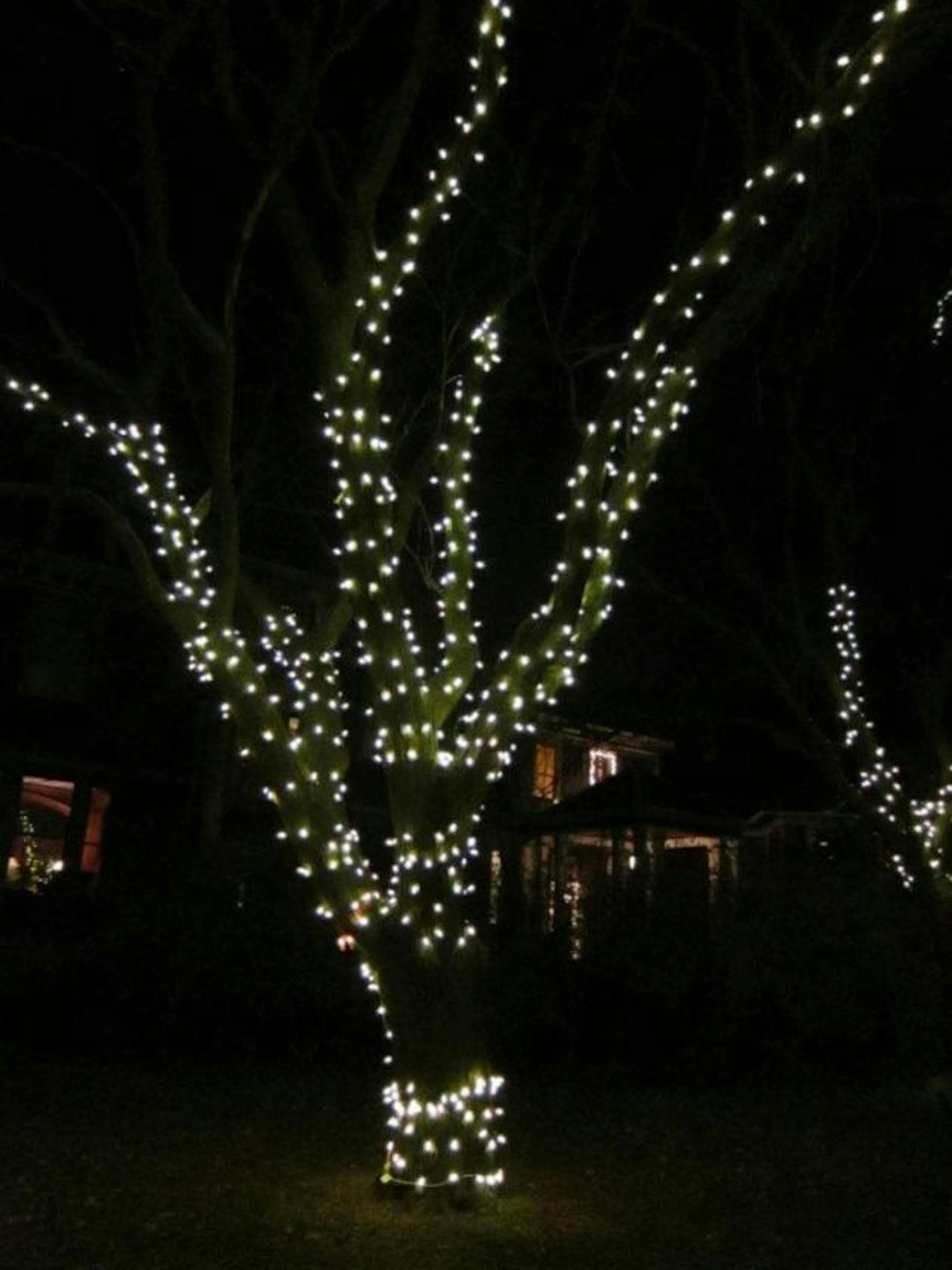 So was the neighborhood.