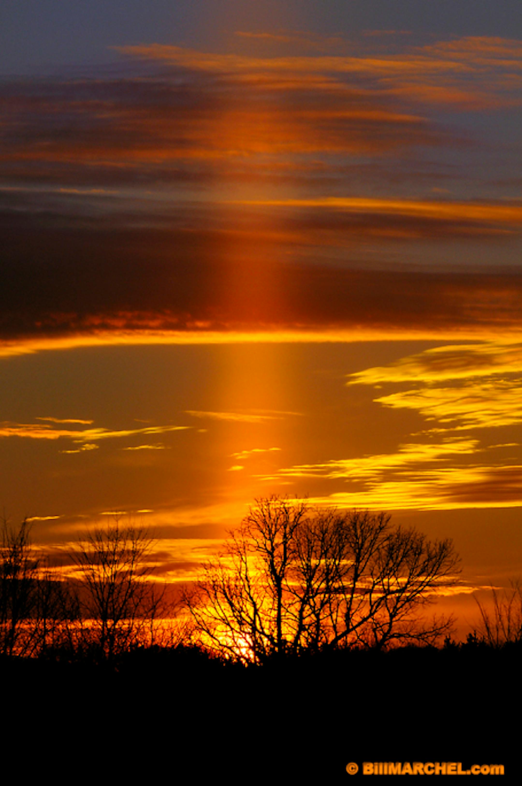 01072-001.01 Sun Pillar rises above sun setting with leaf-less trees in foreground.