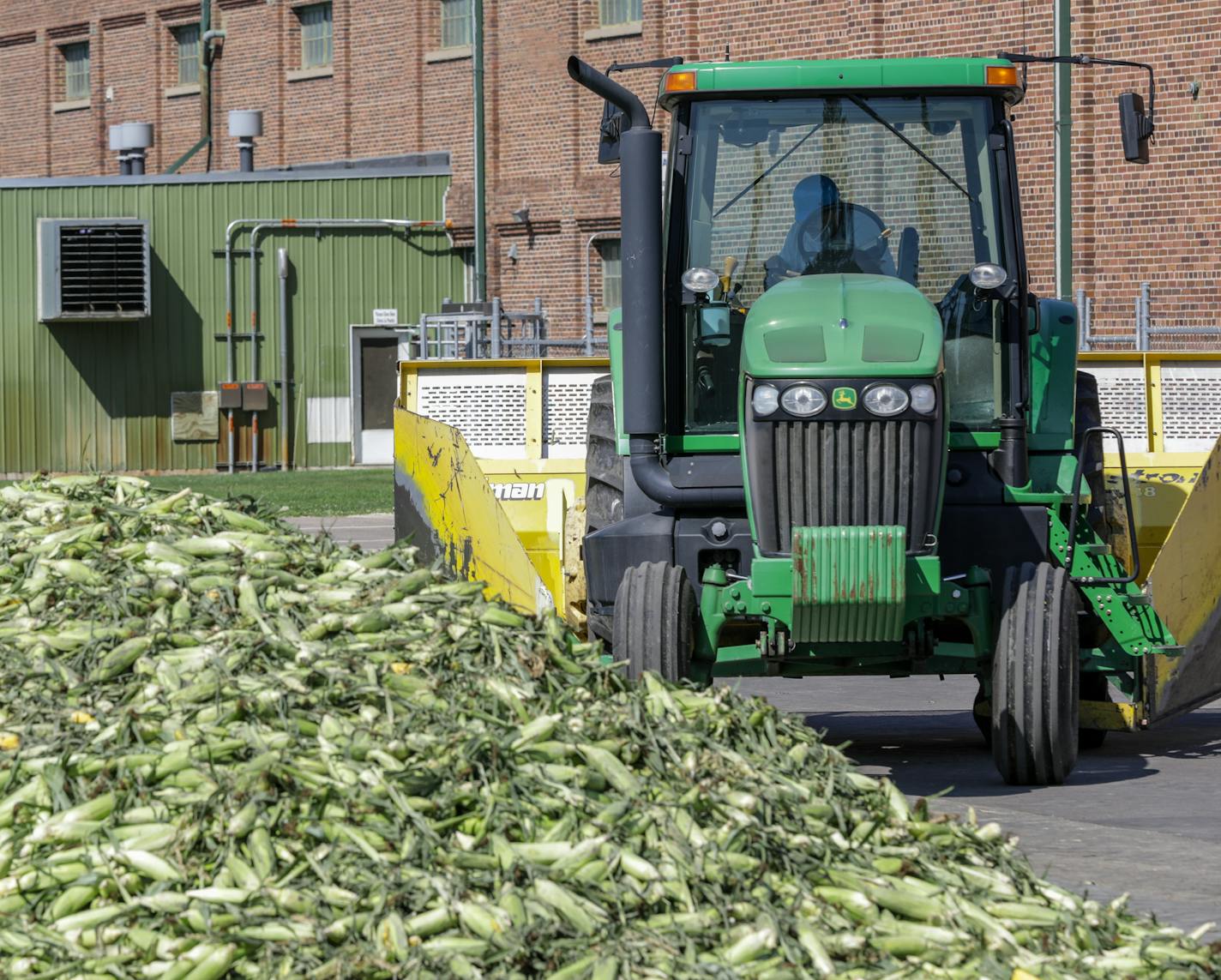 Workers at the Del Monte cannery in Sleepy Eye move this year's sweet corn harvest onto conveyor belts for processing. This will be the last corn pack at the 89-year-old cannery. The company recently announced it was shutting it down because of market forces.