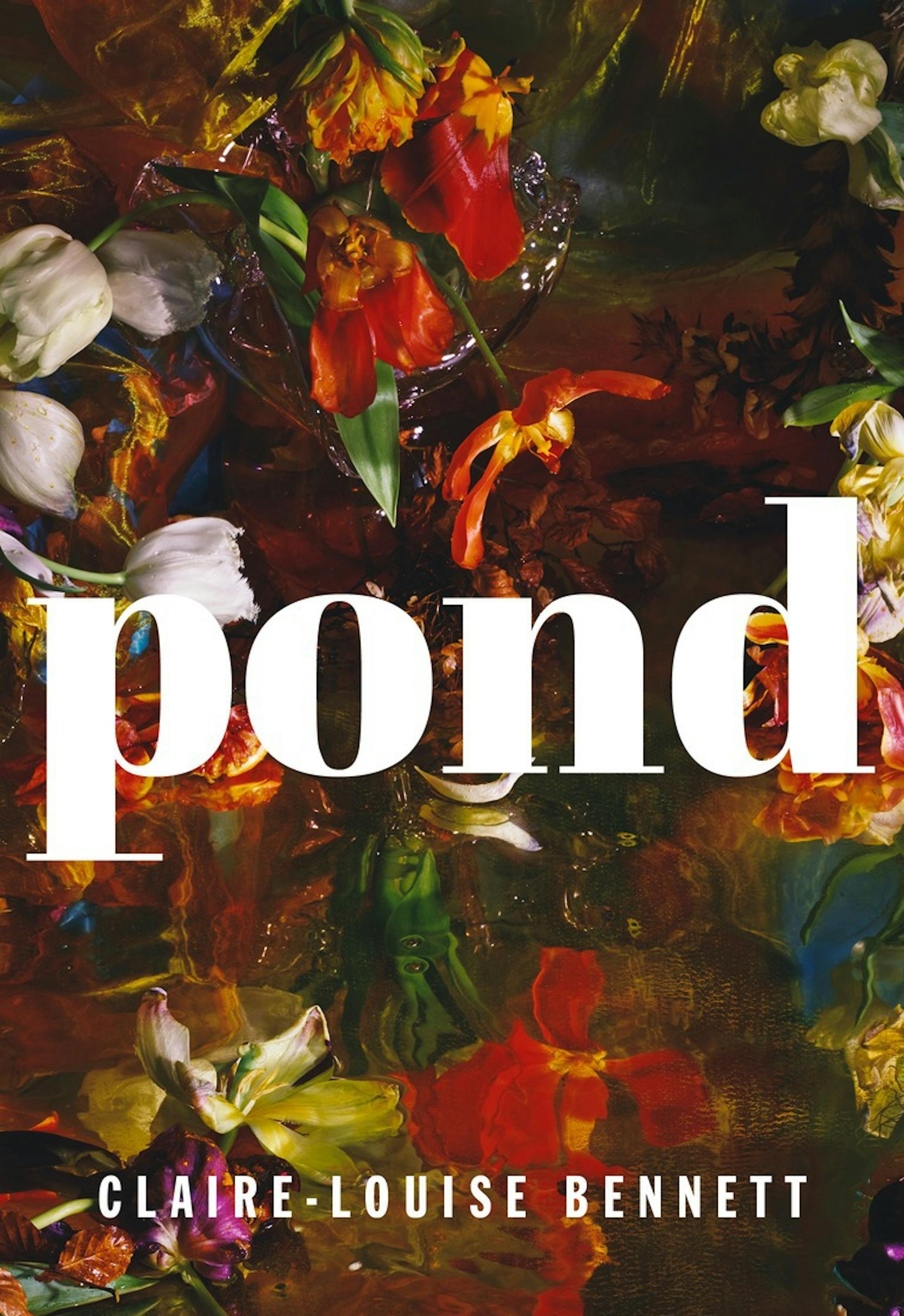"Pond," by Claire-Louise Bennett