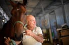 Jerry Longo unhooked a strap from the reins of "Caress of Steel" after he massaged her legs Wednesday night in the stables of Running Aces.