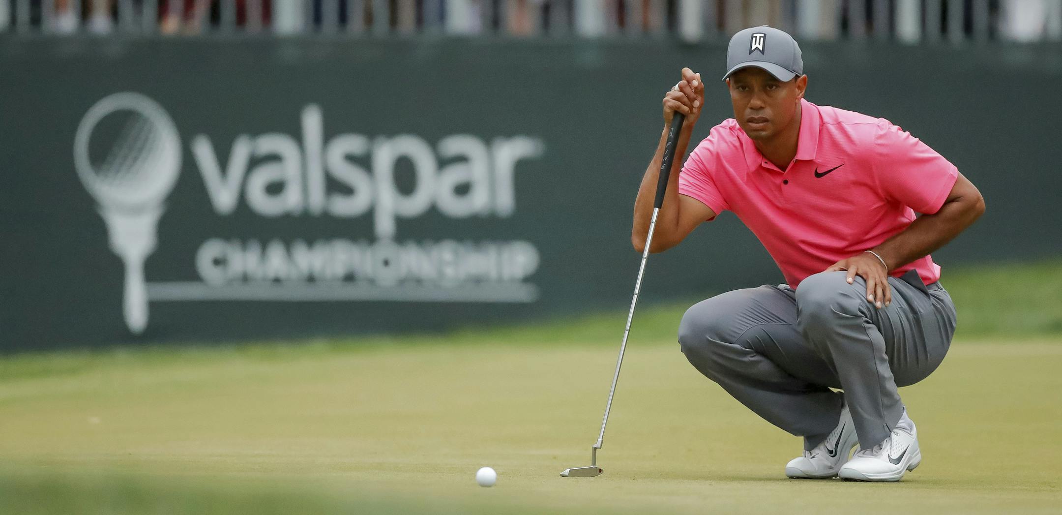 Tiger Woods lines up a putt on the 16th hole during the third round of the Valspar Championship golf tournament Saturday, March 10, 2018, in Palm Harbor, Fla. (AP Photo/Mike Carlson)