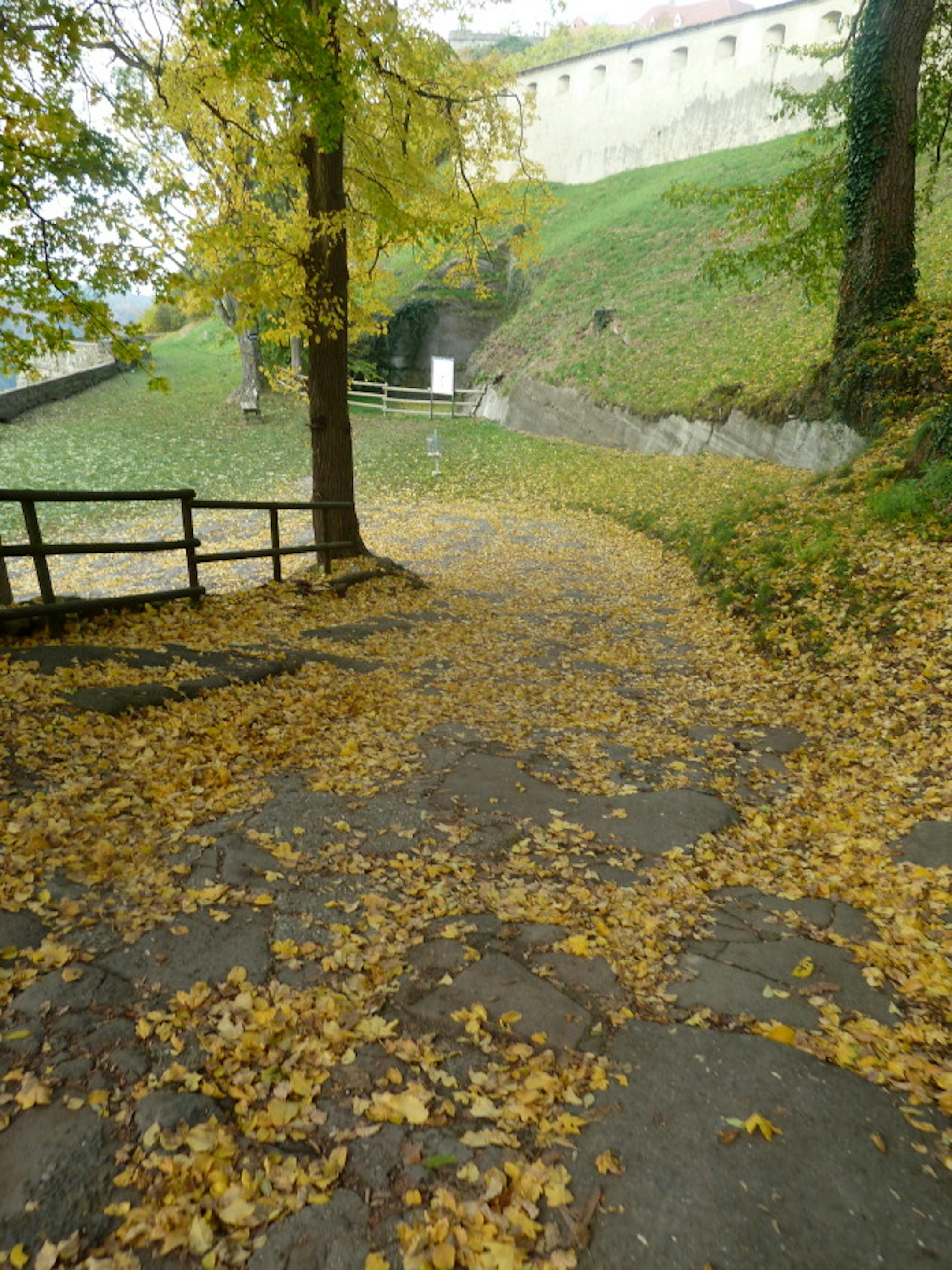 It was a steep path...