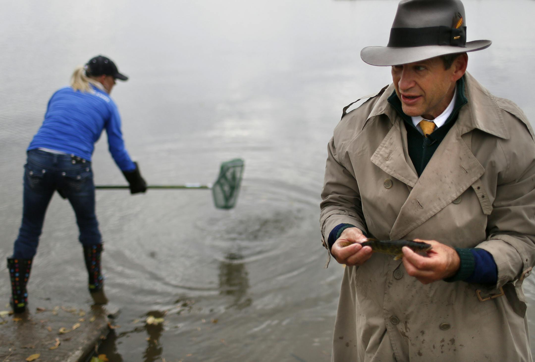 Steve McComas (AKA: The Lake Detective) with Bluewater Science, prepares to check the length and weight of a walleye fingerling before being stocked in Lake Nokomis as Leah Chalmers gently released nets full of walleyes into the lake behind him.
