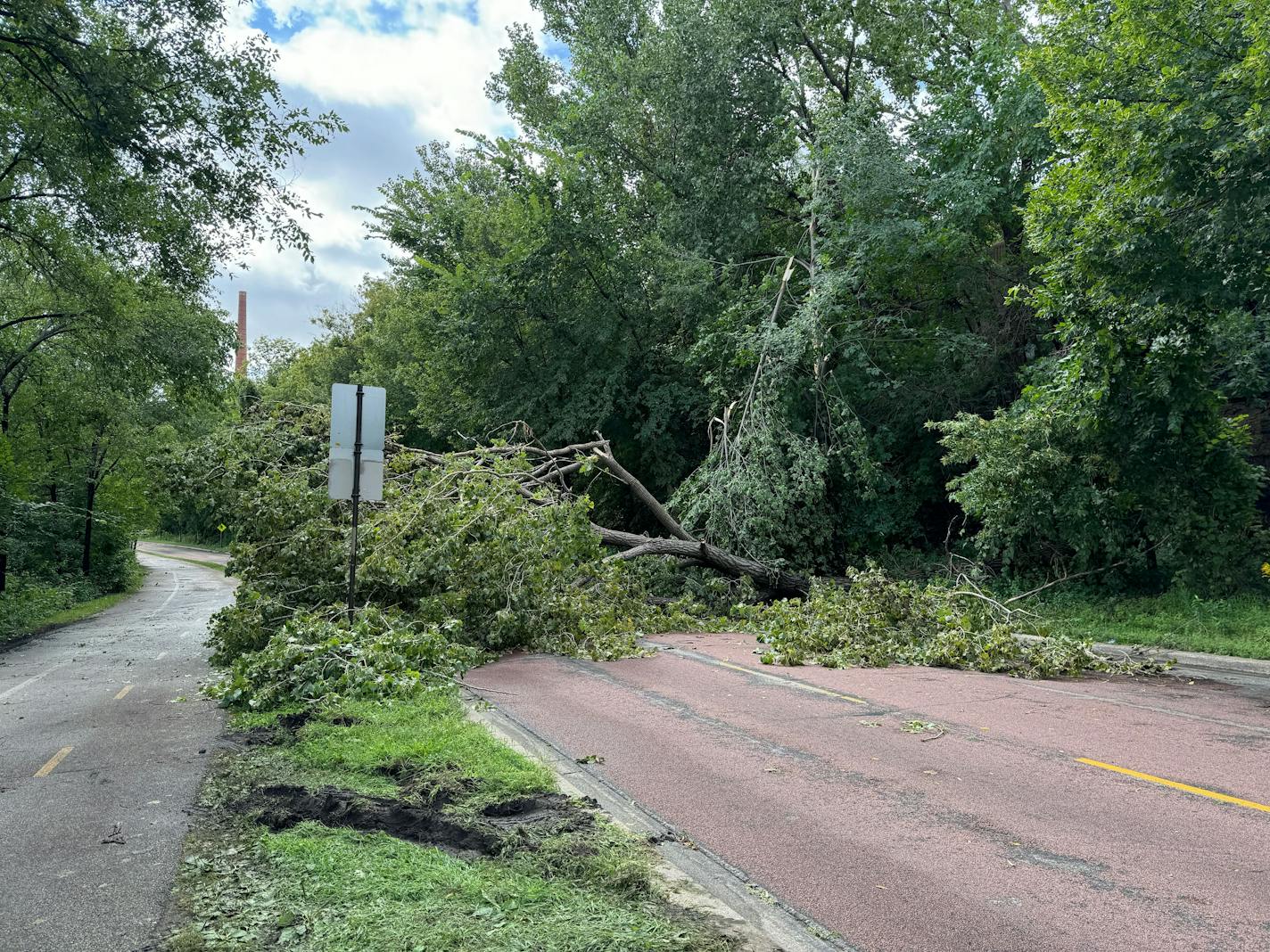 Down branches cover the road.