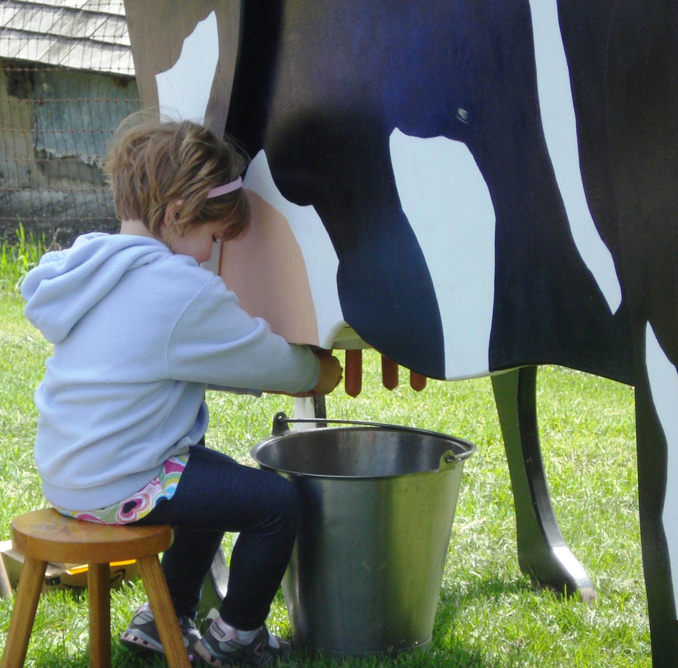 Courtesy city of Eagan Old-time farm activities and live animals are among the highlights of the Holz Farm Spring Festival today in Eagan.