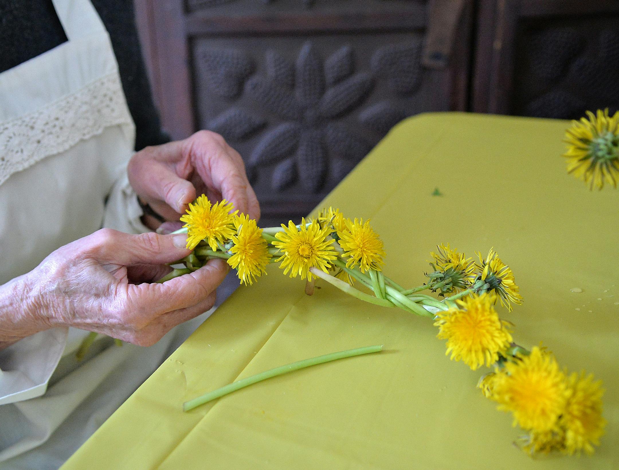 Women's Club of Minneapolis volunteer, Myke Brehm weaves a dandelion crown. ] (SPECIAL TO THE STAR TRIBUNE/BRE McGEE) **Myke Brehm (Women's Club of Minneapolis volunteer)