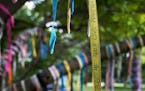 Ribbons adorn Lakewood Cemetery's Living Memory Tree, giving visitors a way to honor the memory of a loved one and express their sentiments and seen W