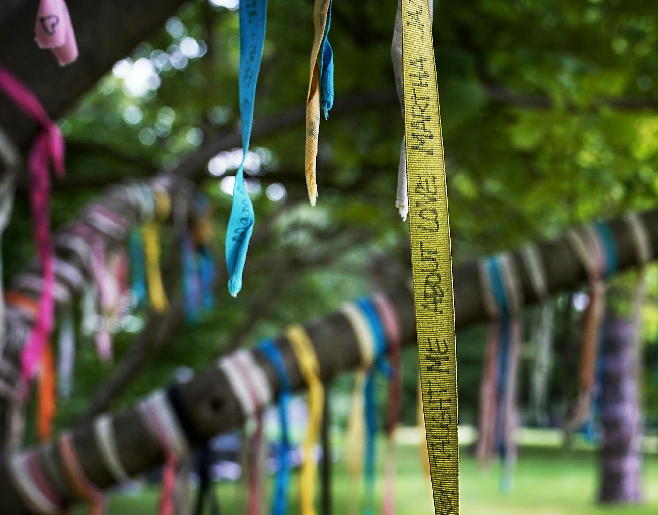 Ribbons adorn Lakewood Cemetery's Living Memory Tree, giving visitors a way to honor the memory of a loved one and express their sentiments and seen Wednesday in Minneapolis.] DAVID JOLES • david.joles@startribune.com Lakewood Cemetery's Living Memory Tree Wednesday, July 1, 2020, in Minneapolis, MN. Visitors write messages to deceased loved ones on cotton ribbons provided by Lakewood and tie them to a tree as a may to memorialize the lost. There are now several hundred weathering ribbons tied t