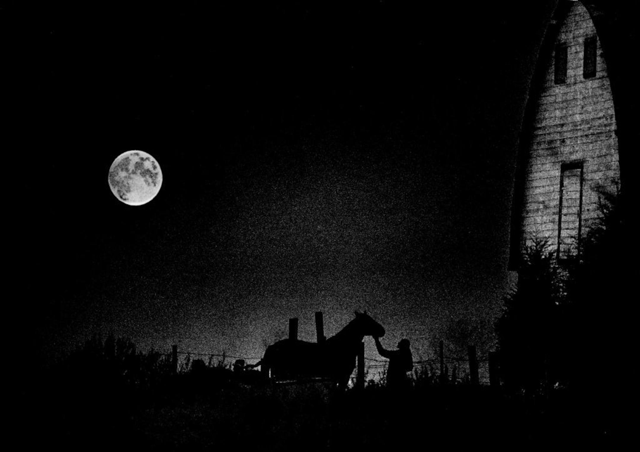 October 27, 1977 HARVEST MOON A full moon was shining brightly as a young woman prepared to move her horse into a barn in Blaine late yesterday. The image of the moon was enhanced by using a second negative during printing of the photograph. October 26, 1977 Steve Schluter, Minneapolis Star Tribune