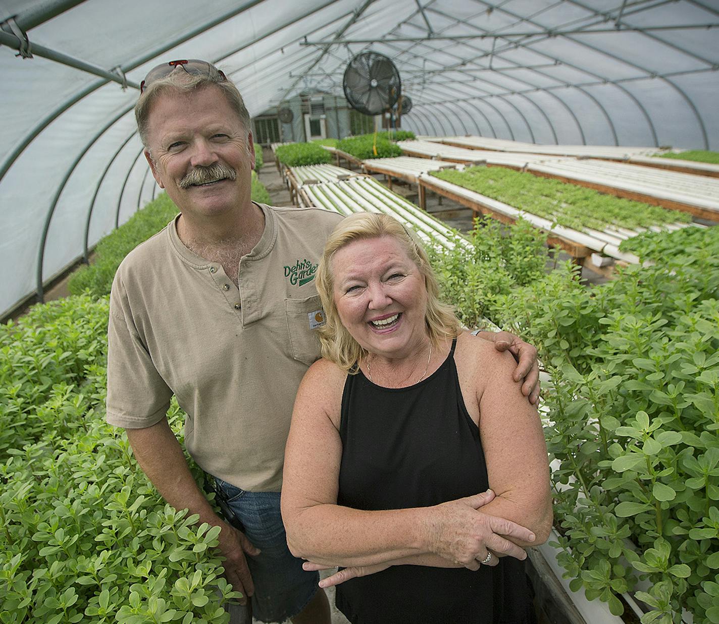 Bob and Bonnie Dehn at their vegetable and herb farm, Thursday, August 10, 2017 in Adover, MN. The Dehn's, who have been married more than 40 years, are searching for someone to take over their family farm before they retire. They started the farm while Bob Dehn was undergoing chemo for cancer more than 30 years ago. ] ELIZABETH FLORES &#xef; liz.flores@startribune.com