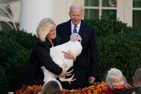 President Joe Biden pardons the national Thanksgiving turkey, Peanut Butter, in the Rose Garden of the White House, in Washington, Friday, Nov. 19, 20