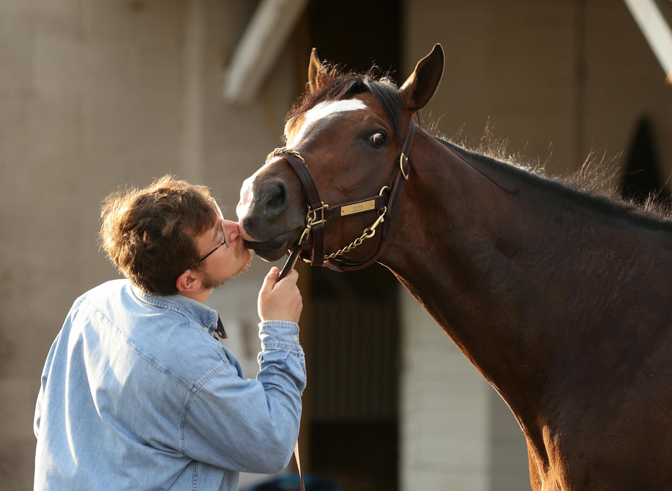 Zozos getting ready for a bath at Churchill Downs.