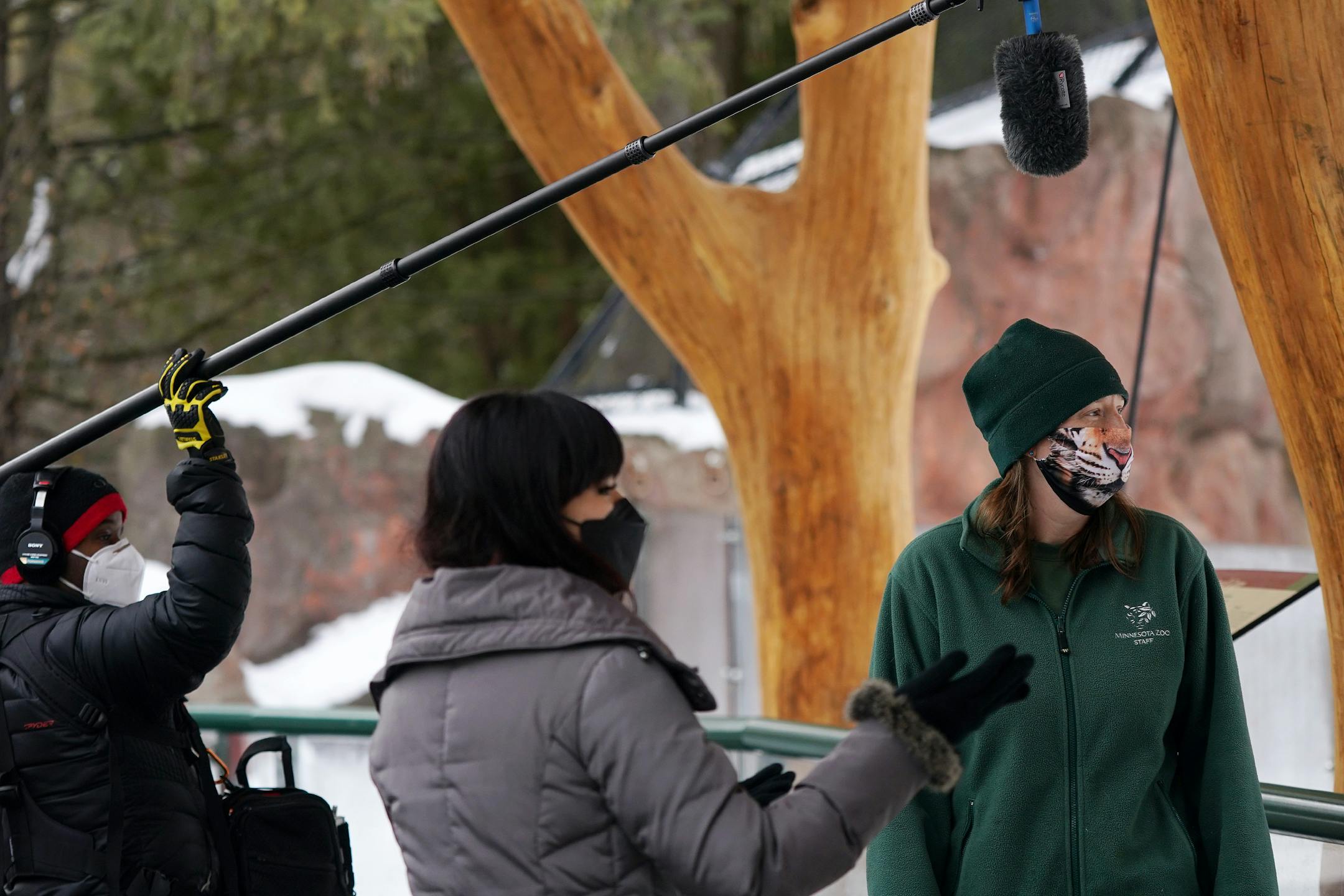 Sarah Hicks, center, pre-recorded a segment with the Amur tiger and her keepers at the Minnesota Zoo for the Minnesota Orchestra's Young People Concert in February.