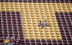 Minnesota fans took to the stands before the Gophers took on the Buffalo Bulls at TCF Bank Stadium, Thursday, August 31, 2017 in Minneapolis, MN. ] EL