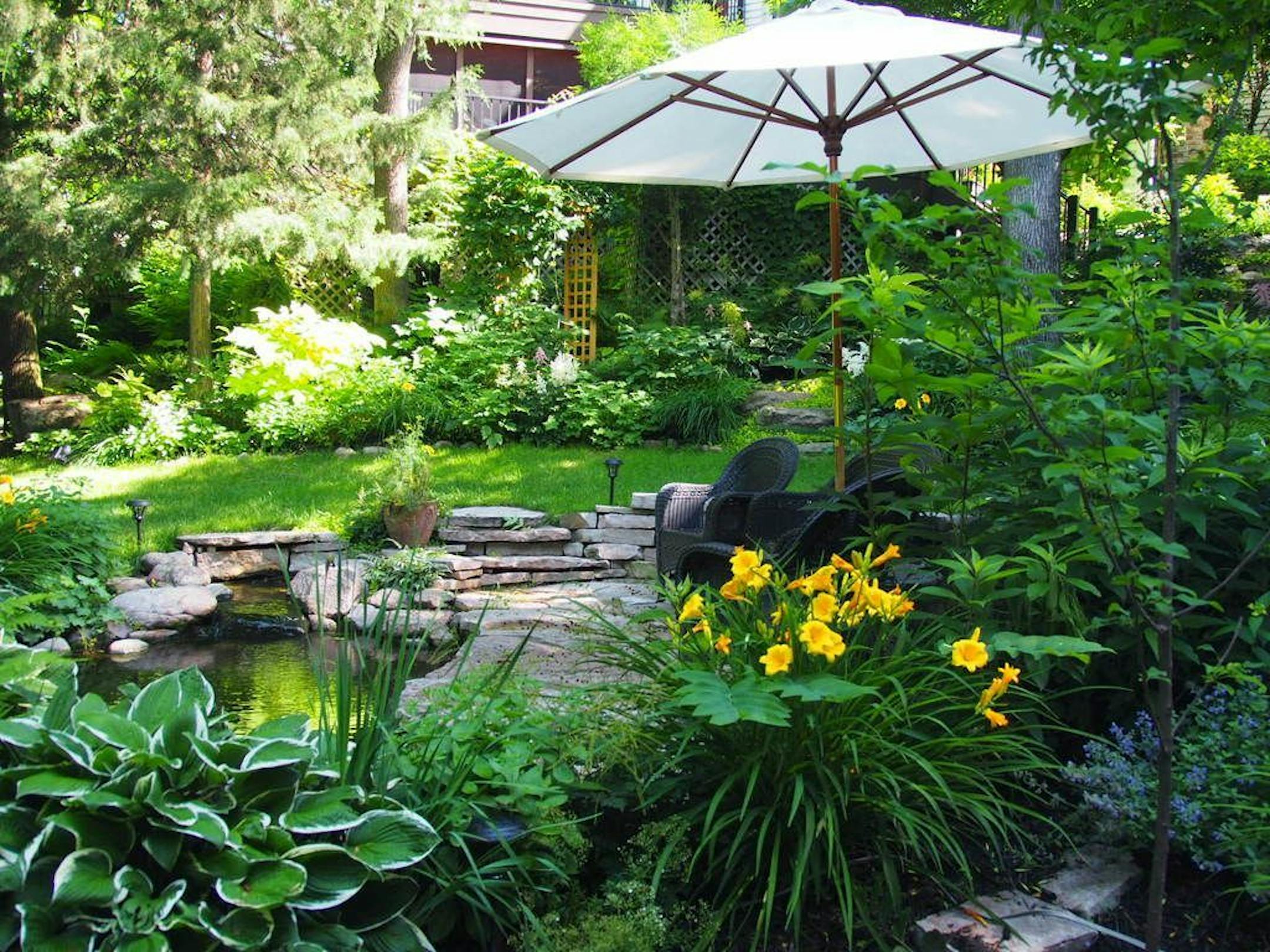 There are some flowers in the garden but the Colsons focus more on foliage plants of varied hues and textures.