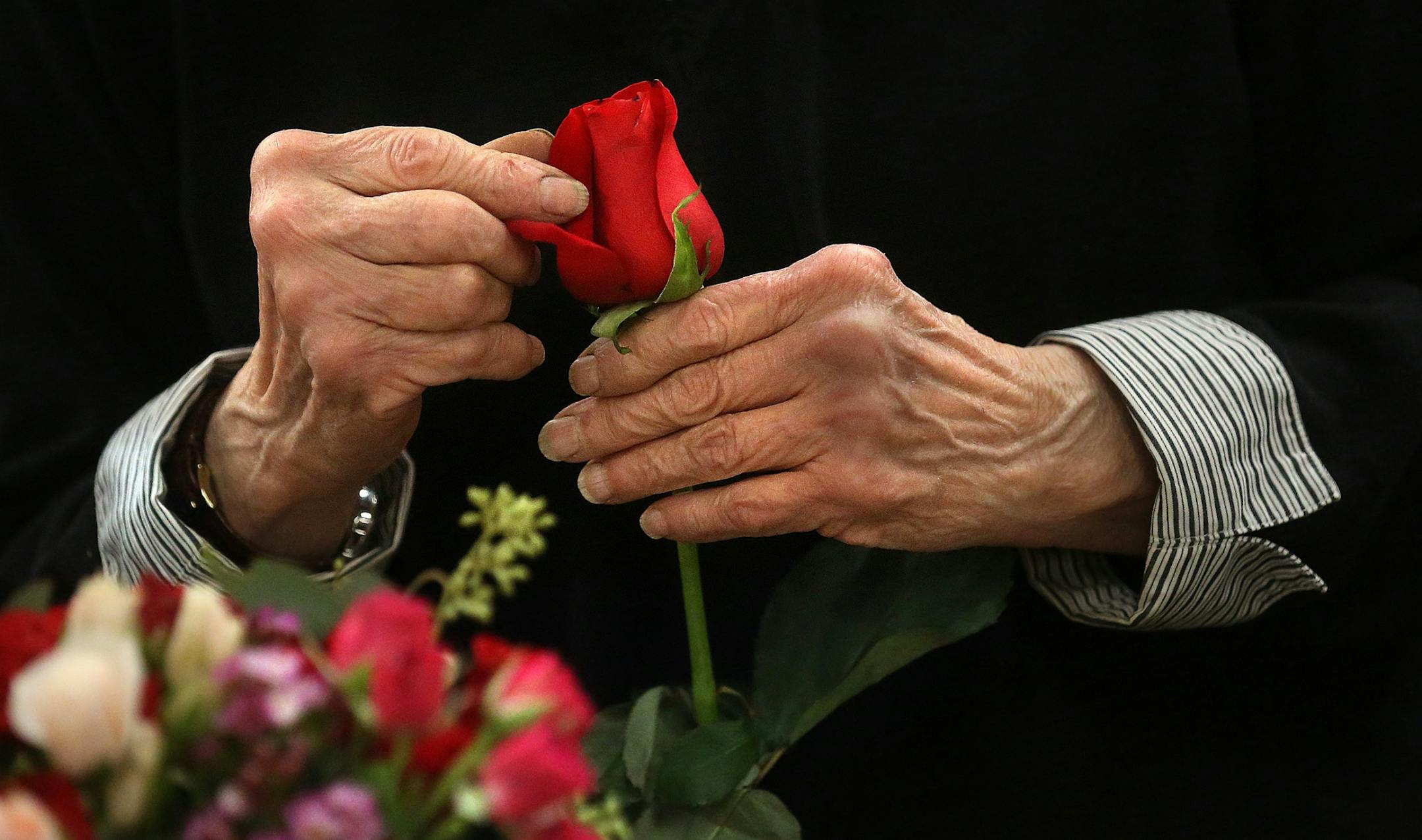 Floral designer Cheryl Pearson prepared an arrangement that included red roses for Valentine�s Day at Bachman�s in Minneapolis. Pearson has worked Bachman�s for 16 years.