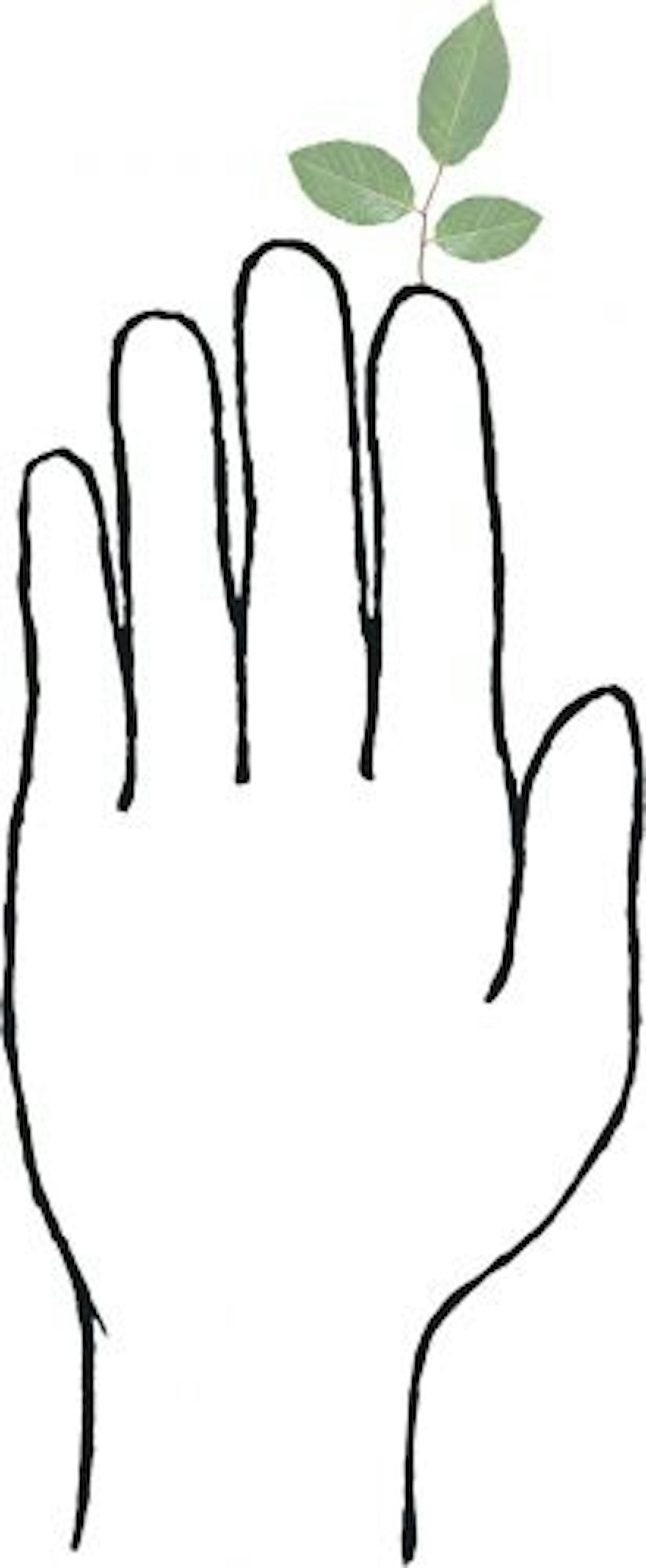 300 dpi Lana Gwinn color illustration of leaves sprouting from index finger on human hand. Chicago Tribune 2008<p> organic gardener illustration gardening leaves hand finger green thumb plant tree forest 06000000, ENV, krtenvironment environment, 06006003, environmental issue, forest, natural resource, natural resources, 10004003, FEA, krtfeatures features, krtgarden garden gardening, krthobby hobby, krtlifestyle lifestyle, LEI, leisure, LIF, 10011000, krtearth earth day, arbor day, krtholiday h