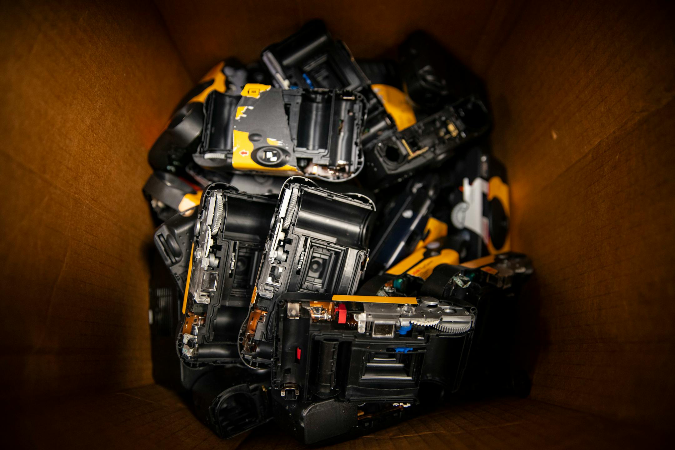 A box of emptied and discarded disposable cameras sat under a counter in First Photo's development room.