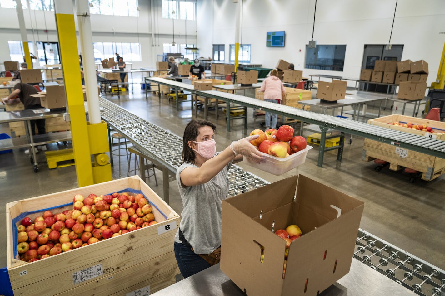 Volunteer Janessa Rosenfield of Hopkins packed apples into boxes at Second Harvest Heartland, where starting Thursday all volunteer opportunities will stop through January because of the state's rising coronavirus cases.