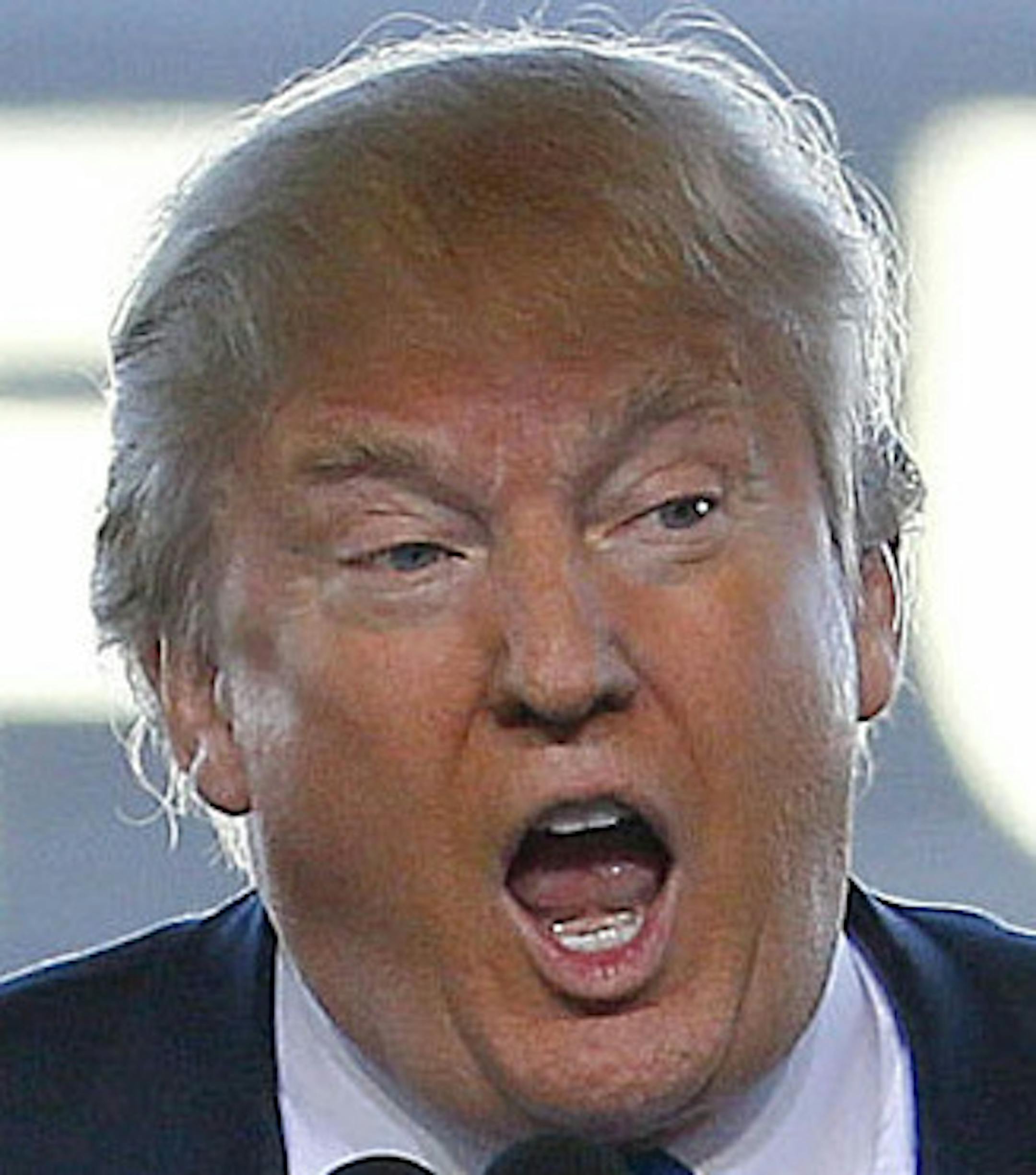 Republican presidential candidate Donald Trump speaks at a campaign rally, Wednesday, Dec. 16, 2015, in Mesa, Ariz. (AP Photo/Matt York) ORG XMIT: MIN2015121716264844