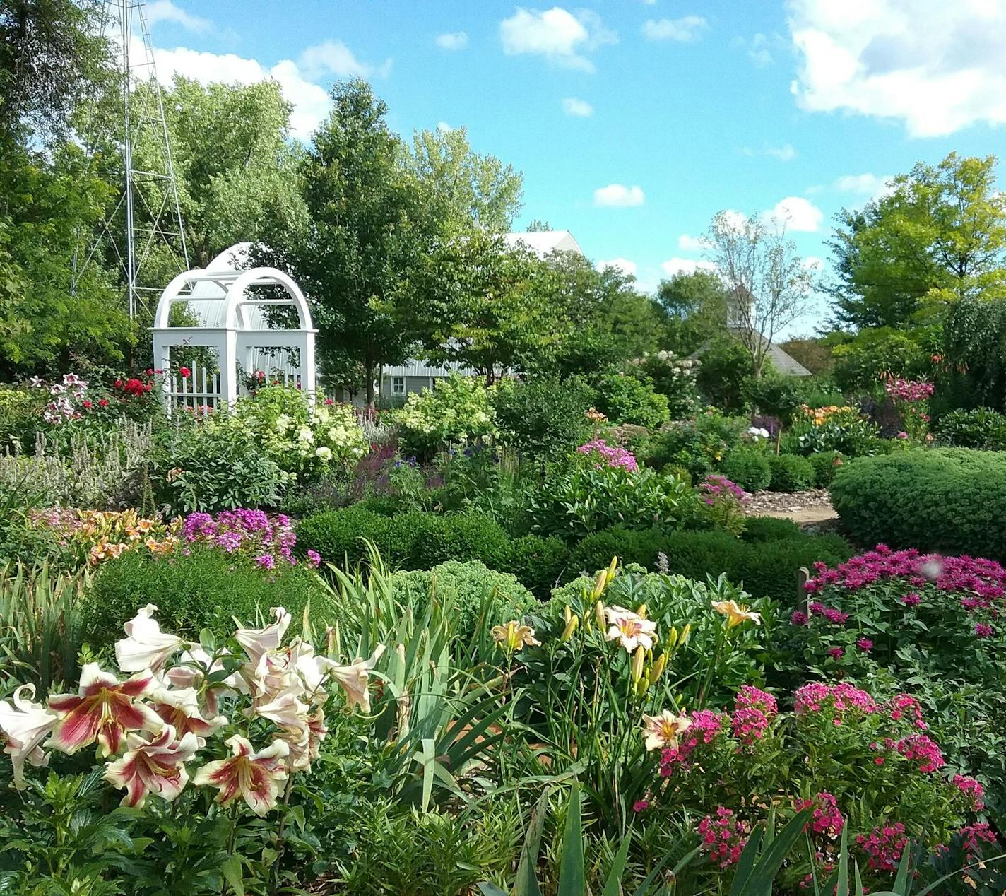 Debbie Young garden, Cokato