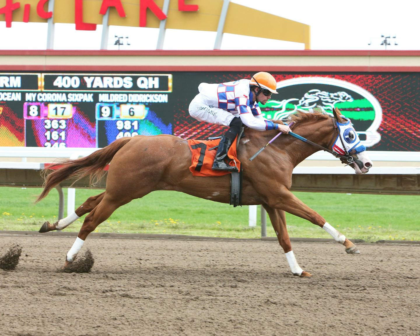 One Famous Ocean, a filly that has Wild goalie Alex Stalock and Canterbury Park announcer Paul Allen as part owners, raced to victory in its trials race for the Gopher State Derby on May 25 at Canterbury. The quarter horse filly then finished fourth in the Gopher State Derby on Saturday.