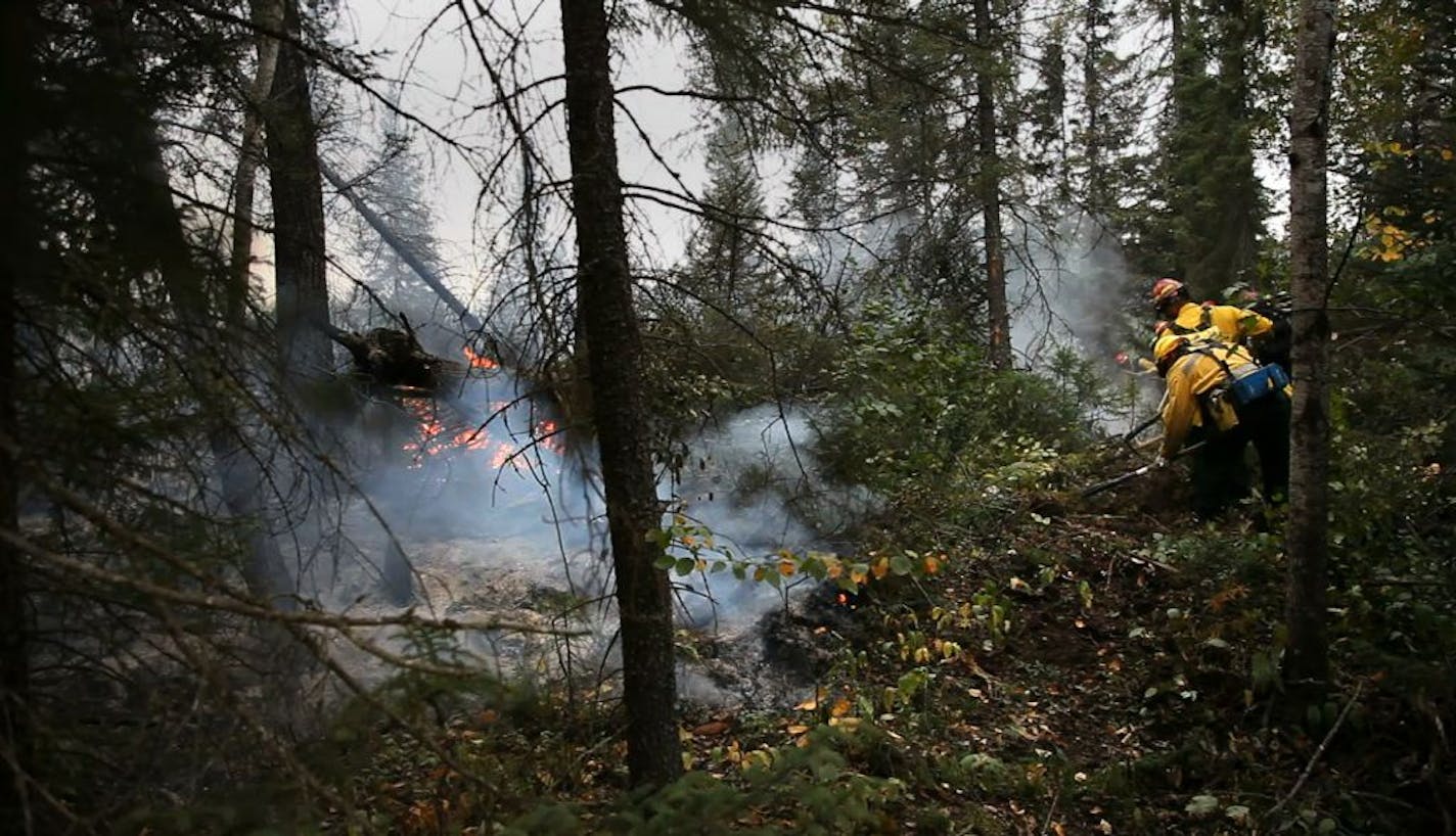 Fire crews dig a fire line on the southern edge of the Pagami Creek Fire, north of Isabella and just south of the BWCA border Tuesday afternoon.