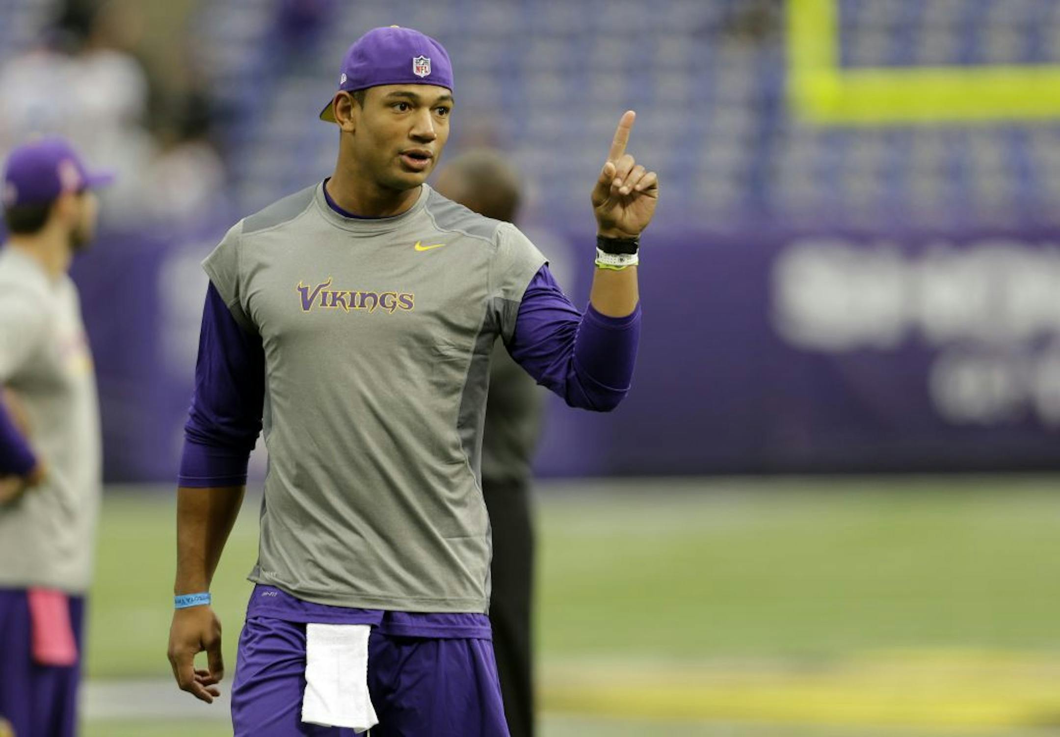 Minnesota Vikings quarterback Josh Freeman