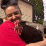 Miranda Meyer poses with her rooster Jimothy Dean Scrambles. Meyer is a St. Paul resident fighting against chicken permitting in the city.