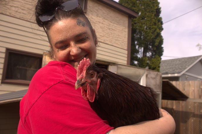 Miranda Meyer poses with her rooster Jimothy Dean Scrambles. Meyer is a St. Paul resident fighting against chicken permitting in the city.