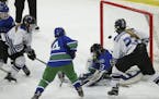 Eastview's Natalie Snodgrass (9) put the puck past Eagan's Ashley Larson (33) to tie the game at 3-3 with just 7.9 seconds left in the third period We