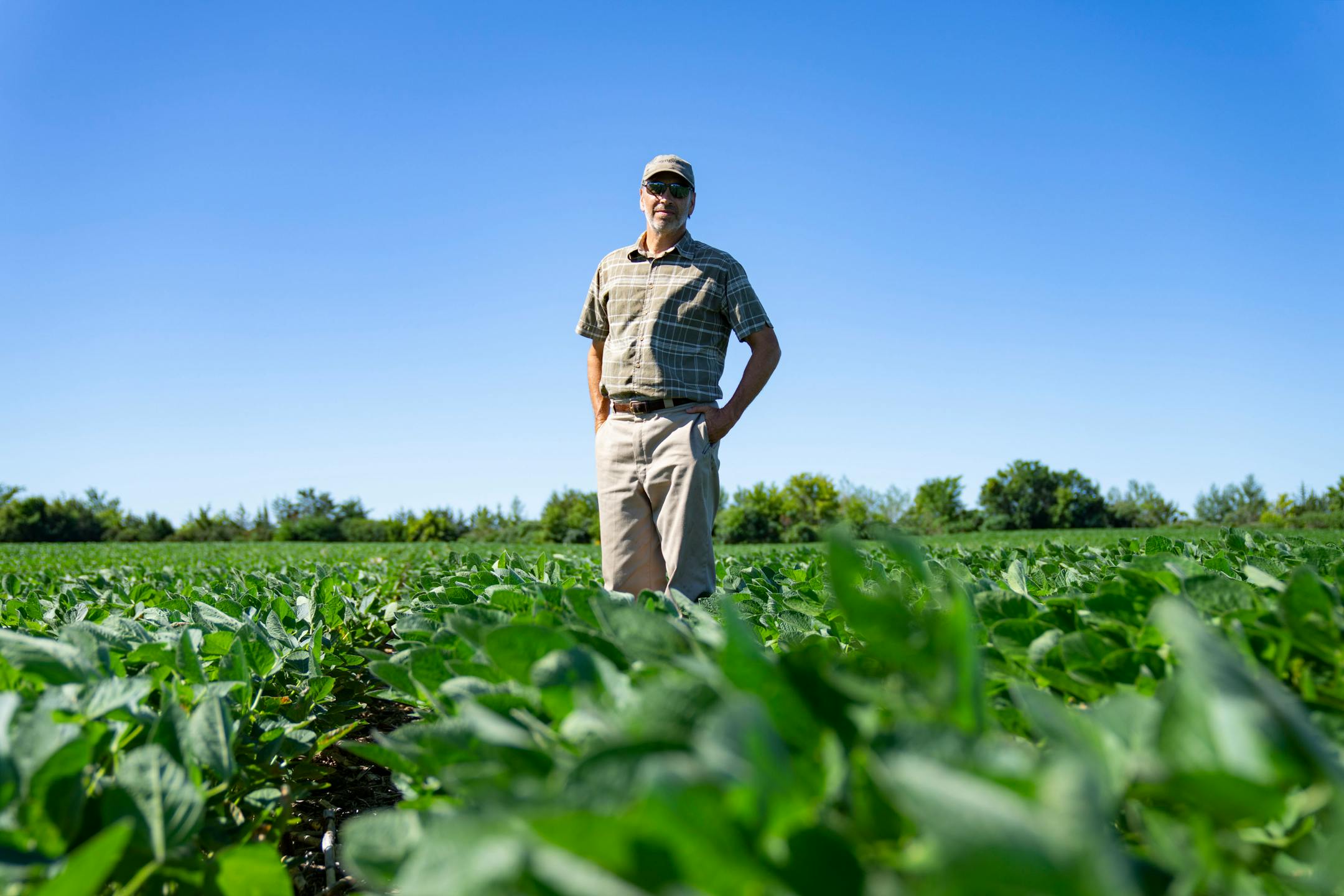 Max Gustafson poses for a portrait in his soybean field.