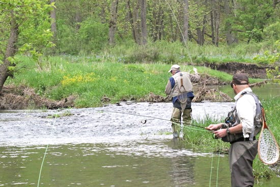 Trout anglers in southeastern Minnesota hit by the muddy creek blues