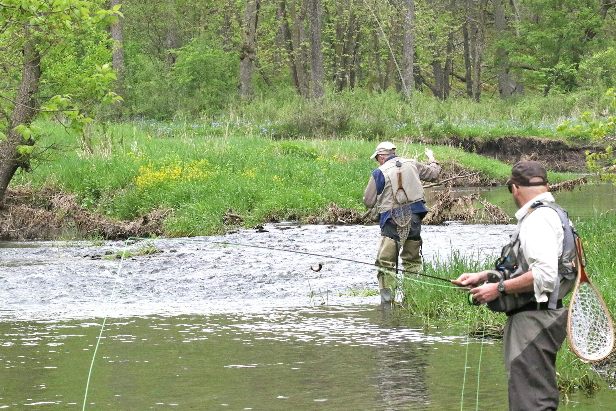 Bob "Sandy" Sanderson, back, landed a wild brown trout in the Root River in 2018. The vast majority of southeast Minnesota trout streams have been unfishable at times this summer, but conditions are improving.