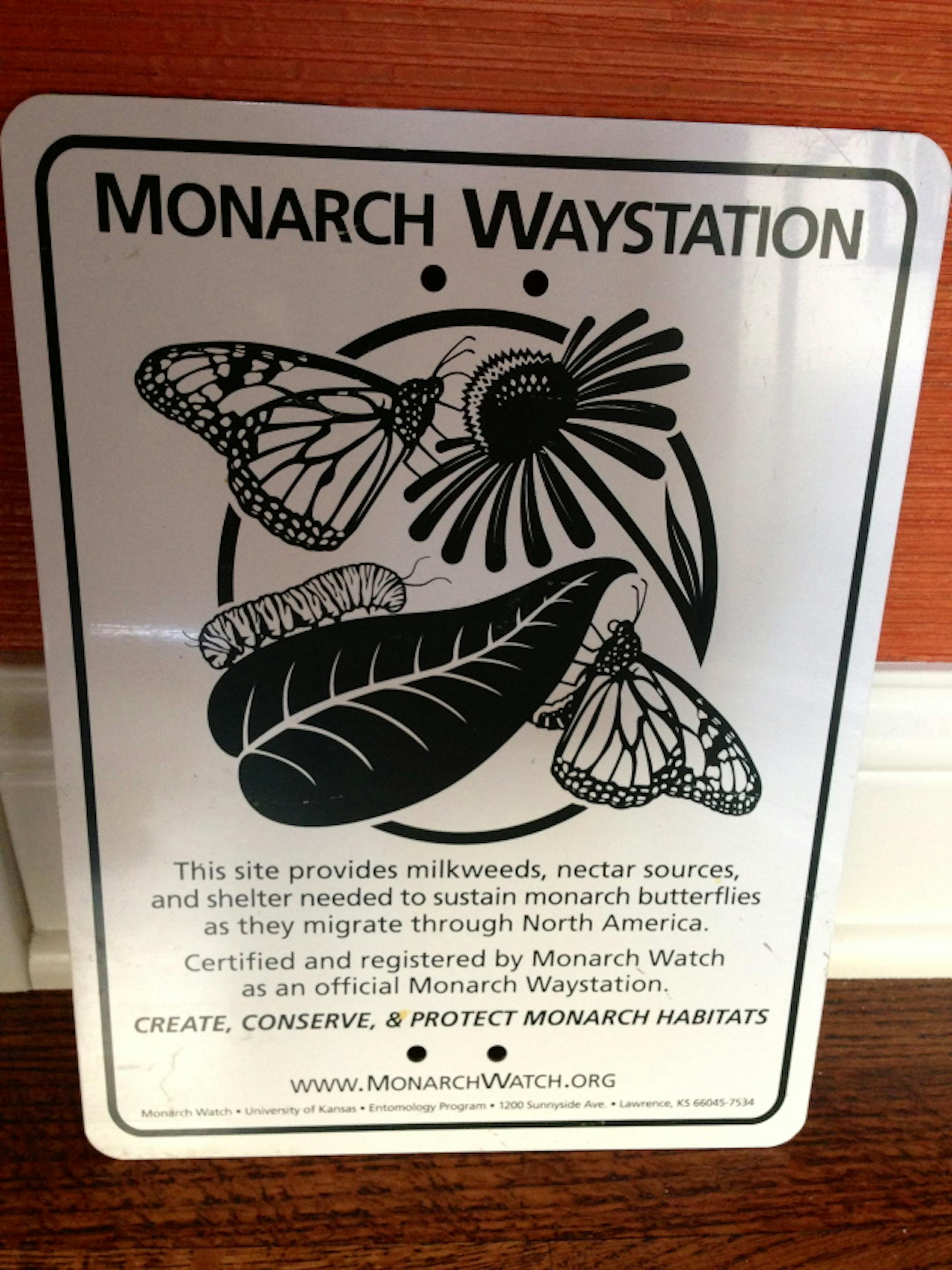 Educate passersby to the plight of the monarch and what they can do to help.