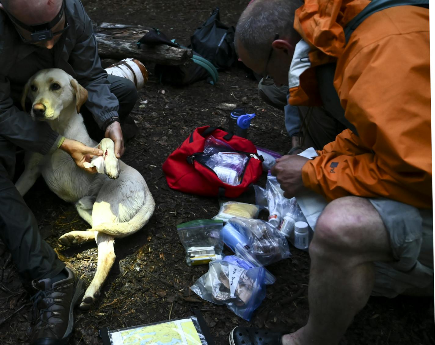 Tony Jones held his dog, Crosby, as Brad Shannon administer first aid. Crosby cut his leg open while walking on loose, sharp, slippery rocks near the South Fowl Lake dam. ] Aaron Lavinsky &#xa5; aaron.lavinsky@startribune.com DAY 4 - Tony Jones, his 14-year old son Aidan
, their friend Brad Shannon and Outdoors editor Bob Timmons started the day on Mountain Lake on Friday, June 14, 2019. From there, they portaged three times in quick succession through rocky, muddy terrain into Moose Lake. They