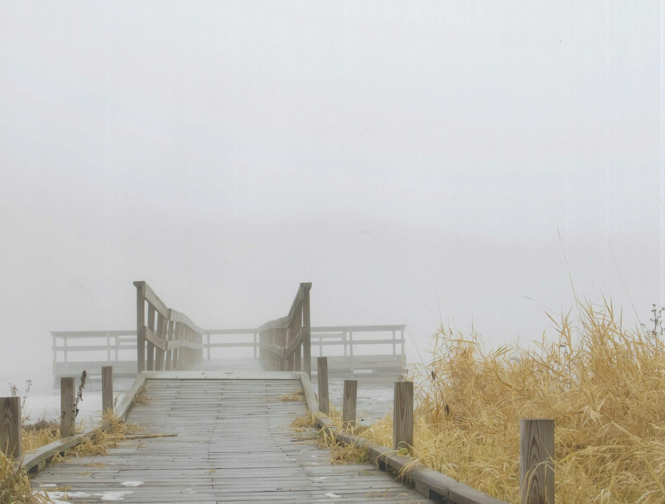 2015 Cottage Grove photo contest. Parks winner, Juli Holm